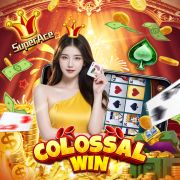 C77bet com