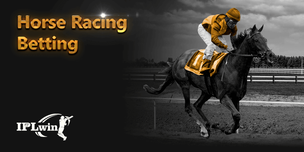 tg6bet